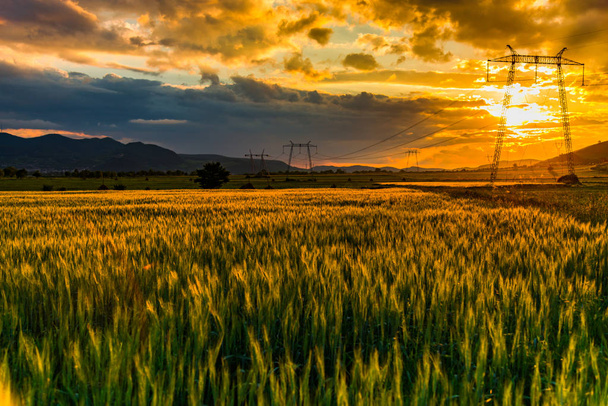 Pomarańczowy Zachód Słońca Niebo nad łąka z trawy i wzgórza  - Zdjęcie, obraz