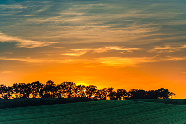 spokojne Niebo Zachód słońca nad łąka z drzew  - Zdjęcie, obraz