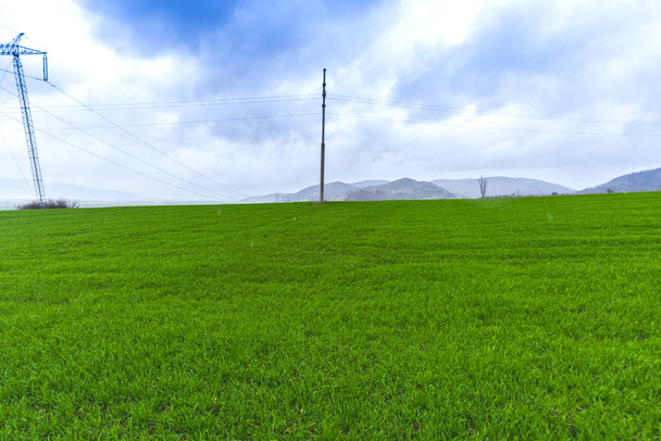 Field with electricity poles and sky background - Zdjęcie, obraz