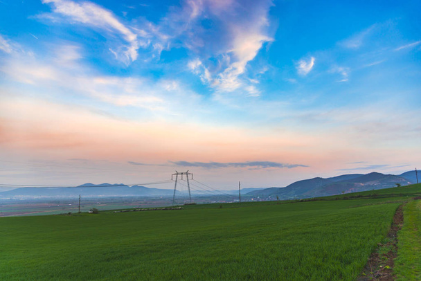 Field with electricity poles and sky background - Photo, Image