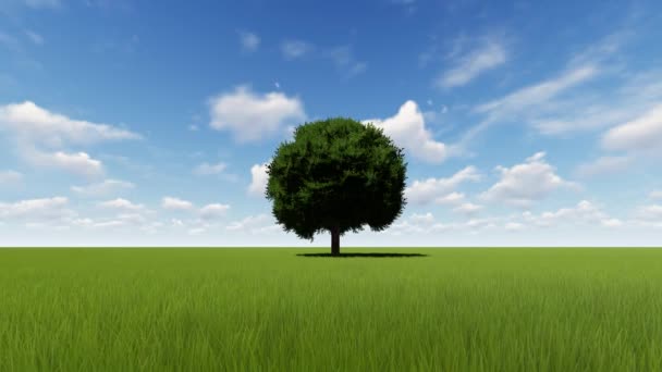 einzelner Baum wächst Zeitraffer mit Wind - Filmmaterial, Video