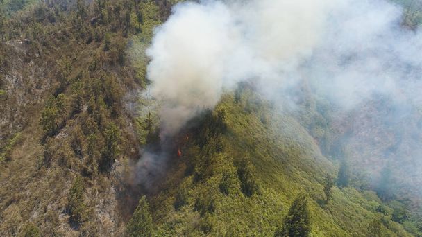 Dağlarda orman yangını - Fotoğraf, Görsel
