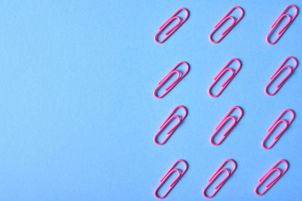 Pink paper clips isolated on blue background, close up, copy space. Top view, flat lay. Back to school, college, education concept - Fotoğraf, Görsel