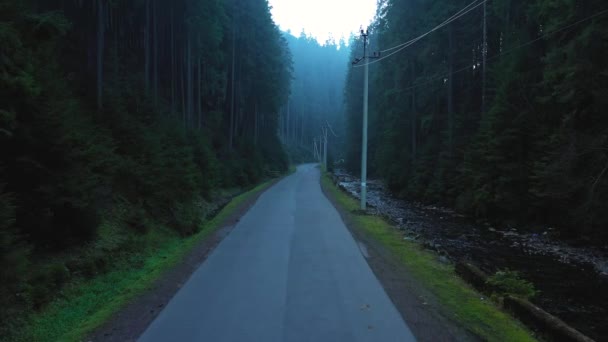Flying along the road in the mountains surrounded by coniferous forest - aerial video. - Footage, Video