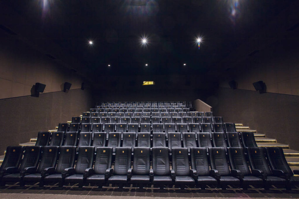 Boş gümüş sinema odası iç ile beyaz perde ve koltuk - Fotoğraf, Görsel