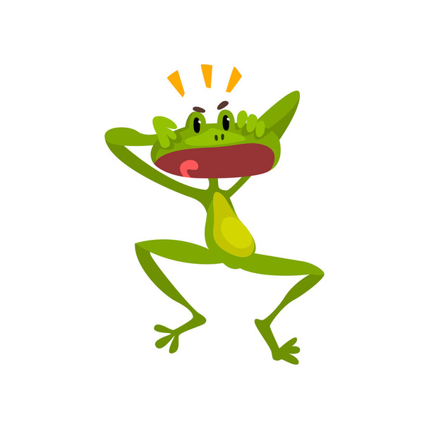 Little surprised frog, green funny amfibian animal cartoon character vector Illustration on a white background - Vector, Image