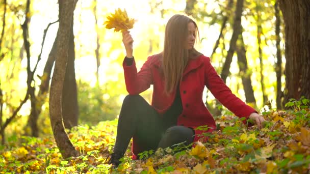 Menina bonita senta-se na floresta de outono e coleta um buquê de folhas de bordo amarelo
 - Filmagem, Vídeo