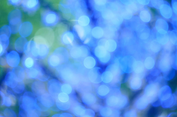 Рождество привел огни в виде цветов, синий bokeh, выбранный фокус
 - Фото, изображение
