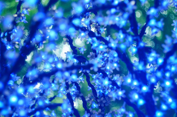 Navidad llevó las luces en forma de flores, bokeh azul, foco seleccionado
 - Foto, imagen