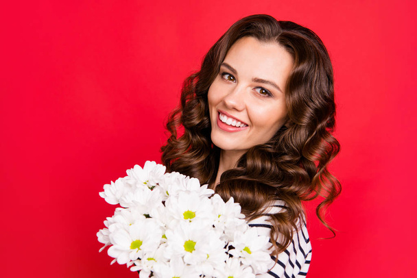 Close-up portrait of nice cute lovely sweet gorgeous attractive cheerful cheery wavy-haired girl wearing striped pullover holding smelling white flowers isolated over bright vivid shine red background - Foto, Imagen