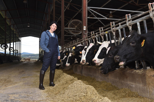 ženy zemědělci pracující na farmě kráva - Fotografie, Obrázek