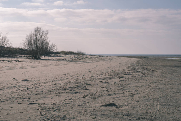 pustej plaży z wydmami i piękne niebo - Zdjęcie, obraz