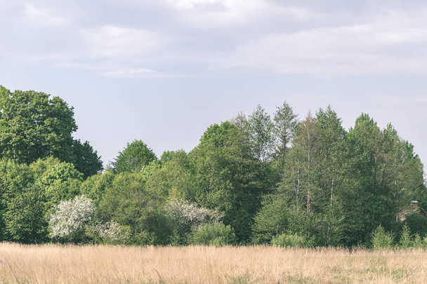 plain simple countryside spring landscape with fresh green meadows and forests - Fotografie, Obrázek