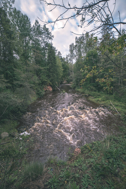 緑の森の高速天田川。ラトビアのアマタ - 写真・画像