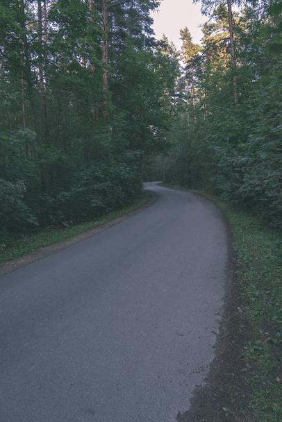 Yaz aylarında ormandaki dalgalı yol asfalt - Fotoğraf, Görsel