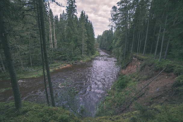 hızlı Amata nehirde yeşil orman. Amata Letonya - Fotoğraf, Görsel