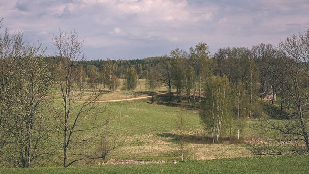 εξοχικό τοπίο πεδία και ξύλων σύμφωνα με συννεφιασμένο ουρανό - Φωτογραφία, εικόνα