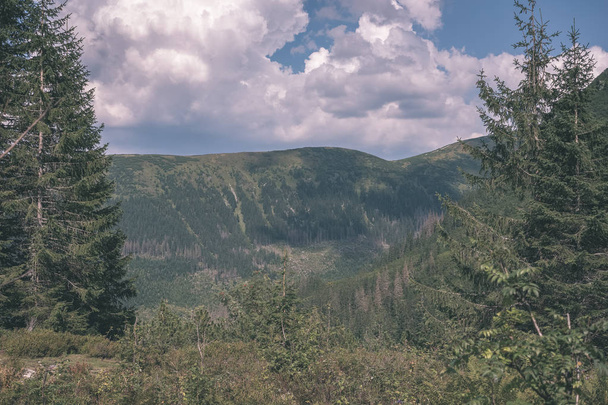 schöne Tatra-Berge und Wälder unter bewölktem Himmel, Slowakei - Foto, Bild