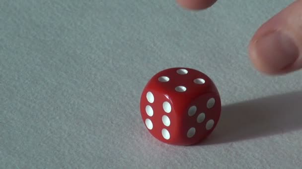 four 4 red bone dice board game. choice casino - Filmagem, Vídeo