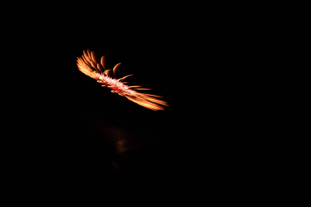 Χρυσό, vilot και λευκό χρώμα φωτιά έργα κατά τη διάρκεια γιορτή κατά την Εορτή της xewkija. jhon Αγίου Προδρόμου. απομονωμένη σε ένα μαύρο φόντο ουρανό τη νύχτα. Μάλτα Gozo. Xewkija το καλοκαίρι του 2016 - Φωτογραφία, εικόνα