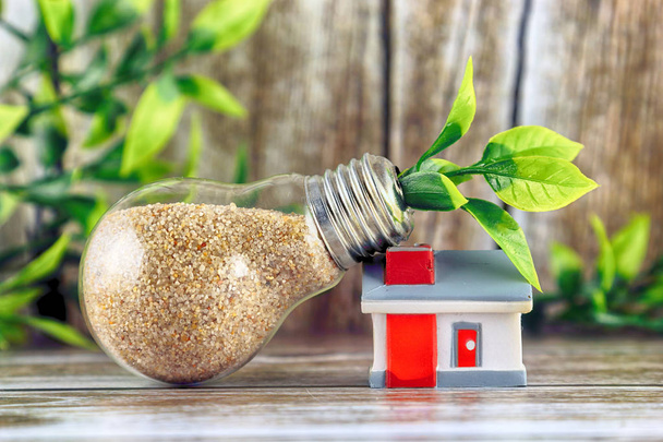 Plant growing inside the light bulb and miniature house. Green eco renewable energy concept. Electricity prices, energy saving in the household. - Фото, зображення