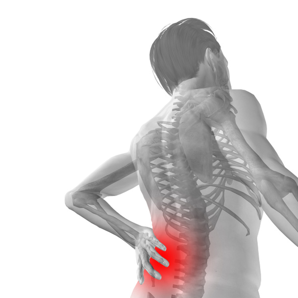 Concetto ad alta risoluzione o concettuale 3d anatomia umana maschile o maschile con mal di schiena isolato su sfondo bianco
 - Foto, immagini