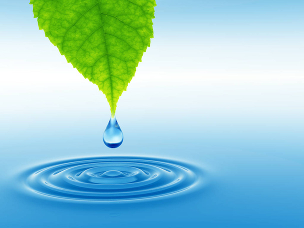 Käsitteellinen tai käsitteellinen puhdas lähdevesi tai kastepisara putoaa vihreästä tuoreesta lehdestä 3D-kuvassa sininen kirkas vesi tekee aaltoja
 - Valokuva, kuva