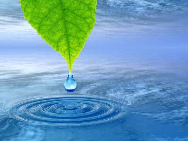Concepto o conceptual agua de manantial limpia o gota de rocío que cae de una hoja verde fresca en la ilustración 3D agua azul clara haciendo olas
 - Foto, Imagen
