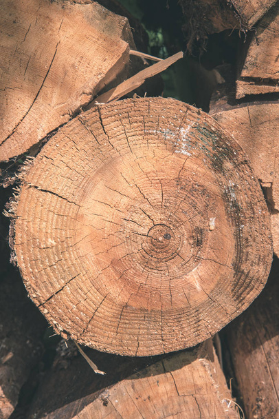 крупным планом укладываемых сухих стволов деревьев
 - Фото, изображение