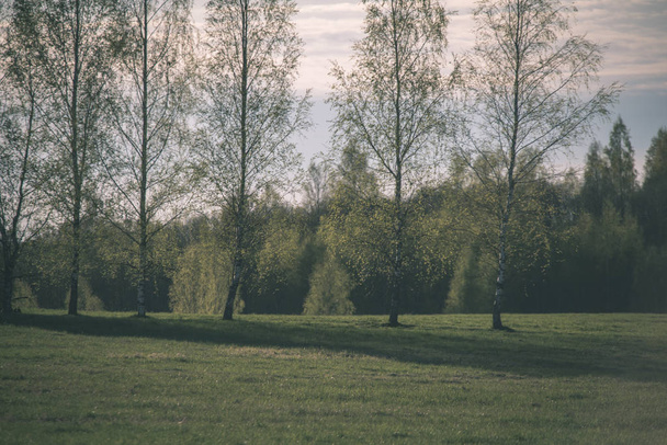 plain simple countryside spring landscape with fresh green meadows and forests - Foto, immagini