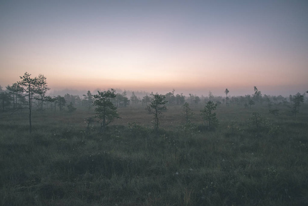 nebliges Sumpfmoorgebiet bei hellem Sonnenaufgang - Foto, Bild