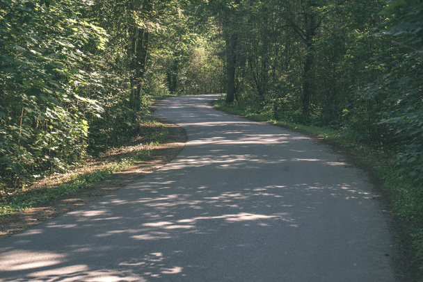 asphalt wavy road in forest in summer - Photo, Image