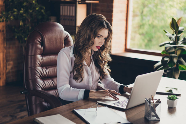 Profile side view portrait of nice sweet lovely attractive charming elegant serious wavy-haired lady typing text on laptop at work place station loft interior - Foto, Imagen