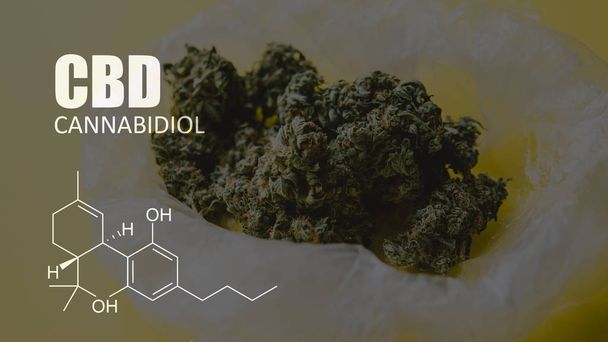 chemical formulas of elements THC CBD in marijuana medical strains - Foto, imagen