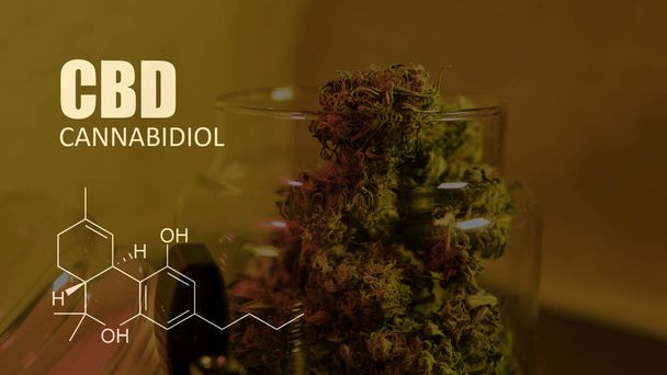 chemical formulas of elements THC CBD in marijuana medical strains - Foto, Imagen
