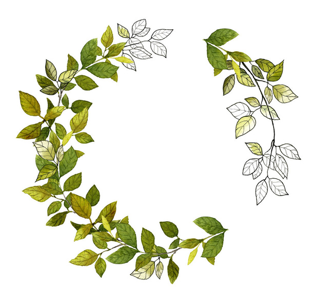 Watercolor wreath from green leaves and leafed sprigs isolated on the white background  - Fotografie, Obrázek