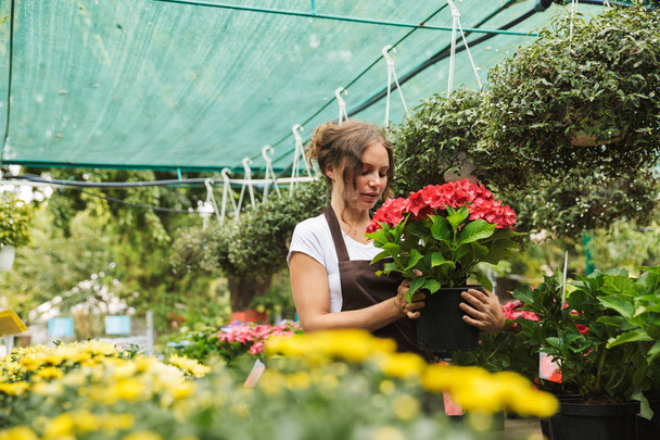 Happy young woman working in a greenhouse, holding a flower pot - Fotoğraf, Görsel