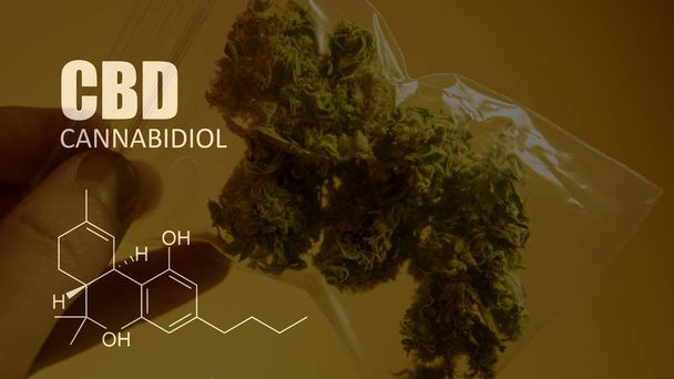 fórmulas químicas de los elementos THC CBD en cepas medicinales de marihuana
 - Foto, Imagen