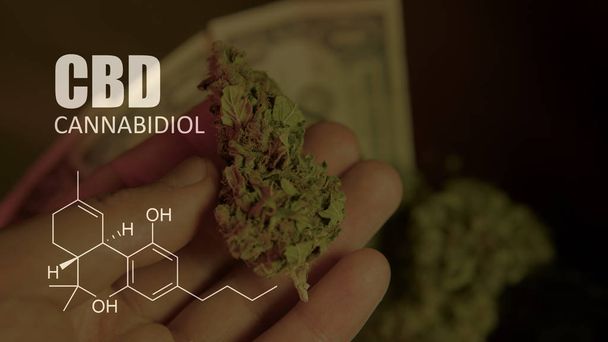 chemical formulas of elements THC CBD in marijuana medical strains - Fotó, kép