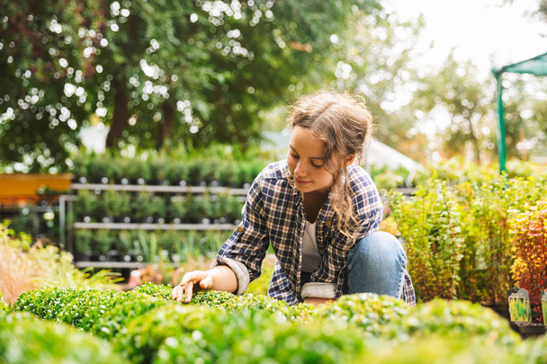Atractiva hermosa mujer jardinero con agua puede trabajar cerca de flores en invernadero
 - Foto, Imagen