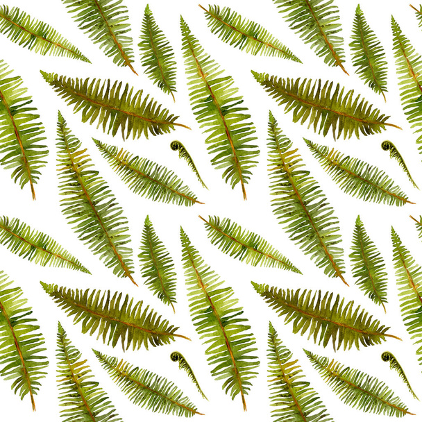 Fern leaves pattern hand painted in watercolor isolated on a white background  - Fotografie, Obrázek