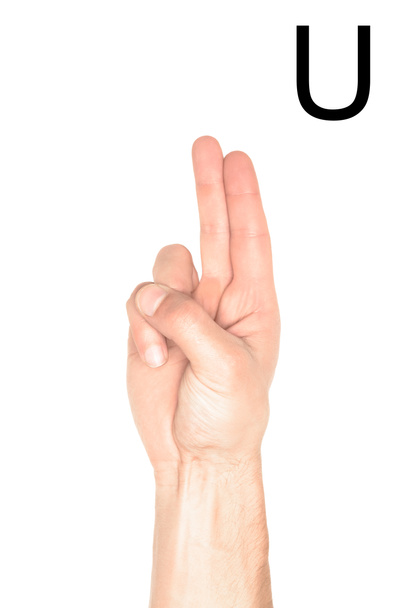 cropped view of male hand showing latin letter - U, deaf and dumb language, isolated on white - Valokuva, kuva