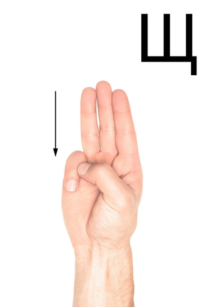 deaf and dumb language with male hand and cyrillic alphabet, isolated on white - 写真・画像