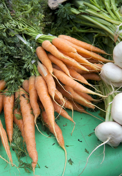 Zanahorias y nabos
 - Foto, Imagen