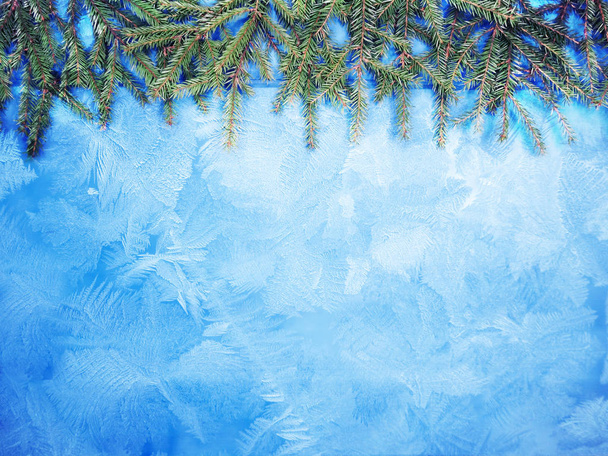 コーンと青い板に雪クリスマス背景モミの木の枝 - 写真・画像