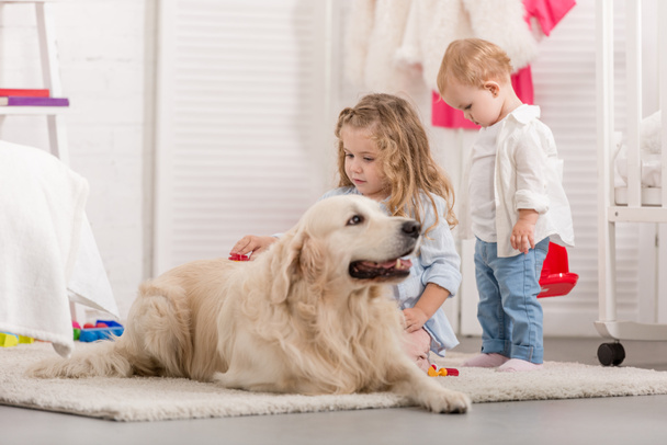adorable sisters palming golden retriever in children room - Photo, Image