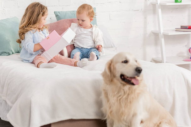 adorable children playing on bed, golden retriever sitting near bed in children room - Photo, Image