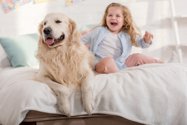 śmiejąc się adorable kid i ładny złoty pies myśliwski siedząc na łóżku razem w pokoju dzieci - Zdjęcie, obraz