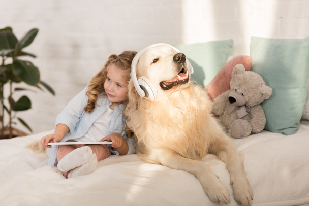adorable child holding tablet, cute golden retriever with headphones lying on bed in children room - Photo, Image