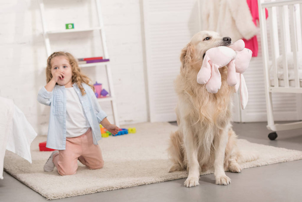 surprised adorable kid sitting near golden retriever holding toy in children room - Foto, immagini